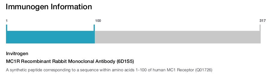 MC1R Recombinant Rabbit Monoclonal Antibody (6D1S5)