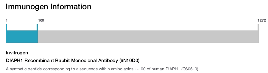 DIAPH1 Recombinant Rabbit Monoclonal Antibody (6N10D0)