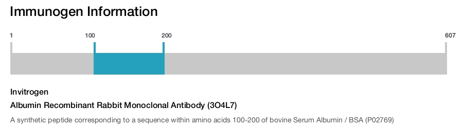 Albumin Recombinant Rabbit Monoclonal Antibody (3O4L7)