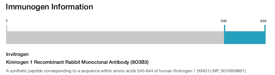 Kininogen 1 Recombinant Rabbit Monoclonal Antibody (8O3B3)