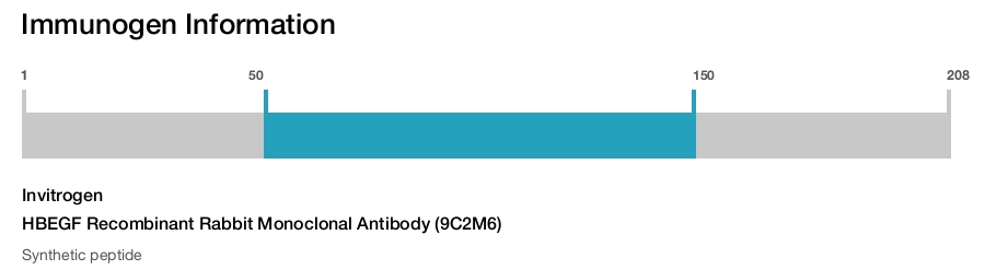 HBEGF Recombinant Rabbit Monoclonal Antibody (9C2M6)