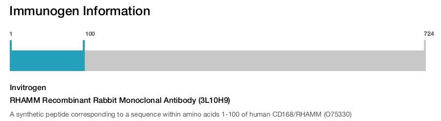 RHAMM Recombinant Rabbit Monoclonal Antibody (3L10H9)