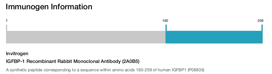 IGFBP-1 Recombinant Rabbit Monoclonal Antibody (2A0B5)
