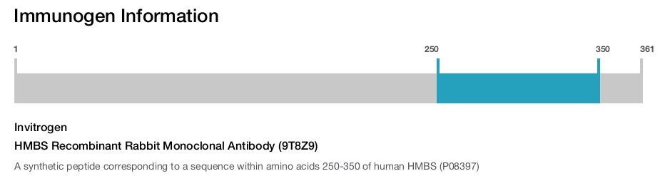 HMBS Recombinant Rabbit Monoclonal Antibody (9T8Z9)