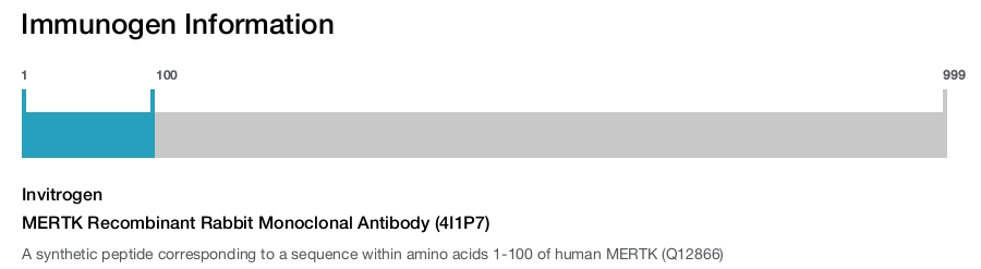 MERTK Recombinant Rabbit Monoclonal Antibody (4I1P7)