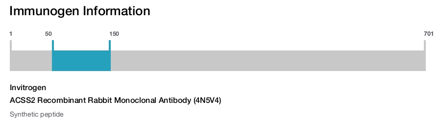 ACSS2 Recombinant Rabbit Monoclonal Antibody (4N5V4)