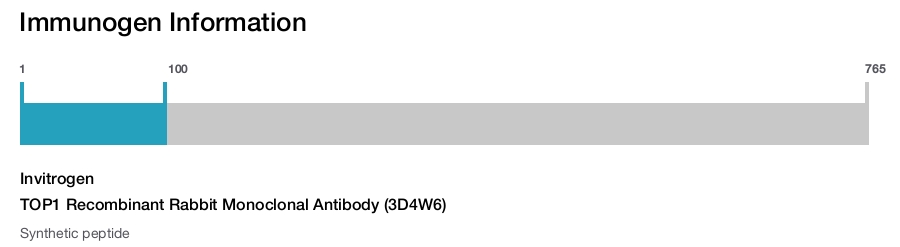TOP1 Recombinant Rabbit Monoclonal Antibody (3D4W6)