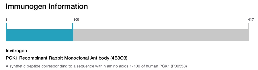 PGK1 Recombinant Rabbit Monoclonal Antibody (4B3Q3)
