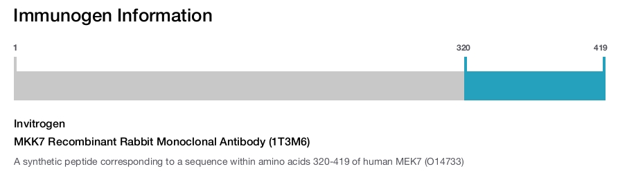 MKK7 Recombinant Rabbit Monoclonal Antibody (1T3M6)