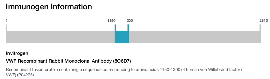 VWF Recombinant Rabbit Monoclonal Antibody (8O6D7)