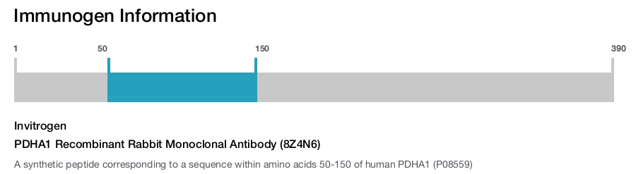 PDHA1 Recombinant Rabbit Monoclonal Antibody (8Z4N6)