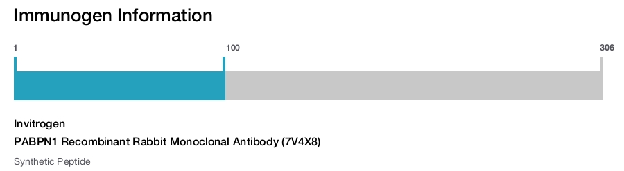 PABPN1 Recombinant Rabbit Monoclonal Antibody (7V4X8)