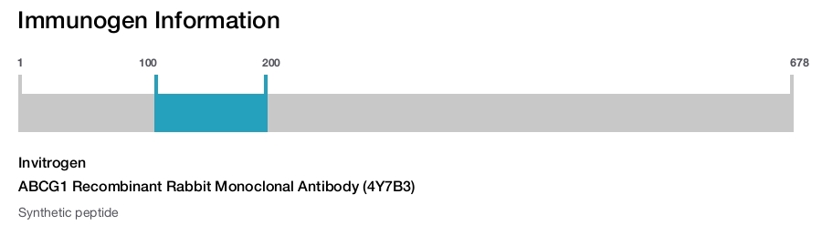 ABCG1 Recombinant Rabbit Monoclonal Antibody (4Y7B3)