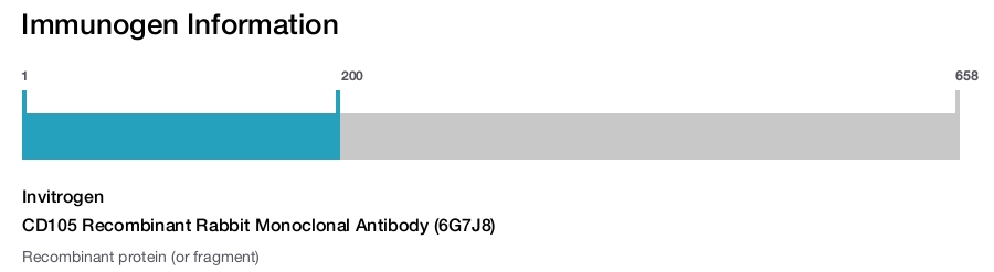CD105 Recombinant Rabbit Monoclonal Antibody (6G7J8)
