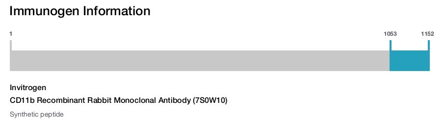 CD11b Recombinant Rabbit Monoclonal Antibody (7S0W10)