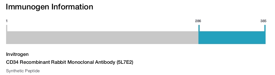 CD34 Recombinant Rabbit Monoclonal Antibody (5L7E2)