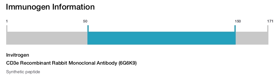 CD3e Recombinant Rabbit Monoclonal Antibody (6G6K9)
