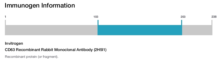 CD63 Recombinant Rabbit Monoclonal Antibody (2H5I1)