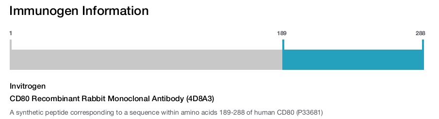 CD80 Recombinant Rabbit Monoclonal Antibody (4D8A3)