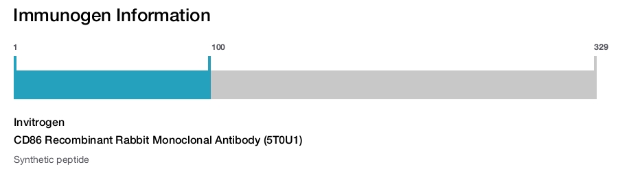 CD86 Recombinant Rabbit Monoclonal Antibody (5T0U1)