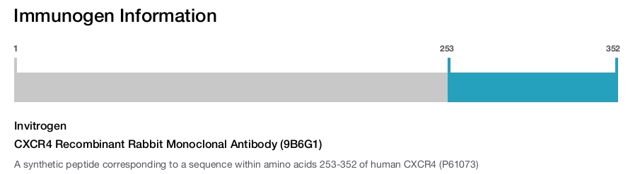 CXCR4 Recombinant Rabbit Monoclonal Antibody (9B6G1)