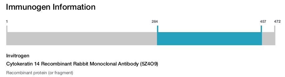 Cytokeratin 14 Recombinant Rabbit Monoclonal Antibody (5Z4O9)