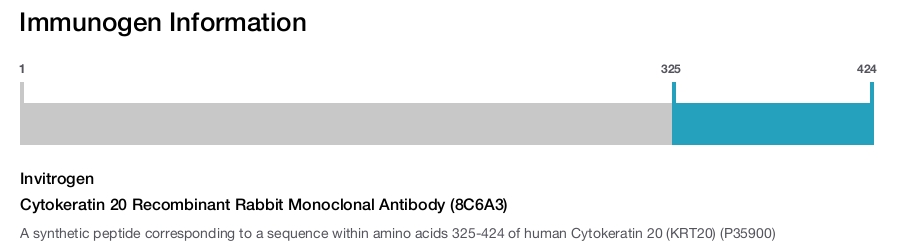 Cytokeratin 20 Recombinant Rabbit Monoclonal Antibody (8C6A3)