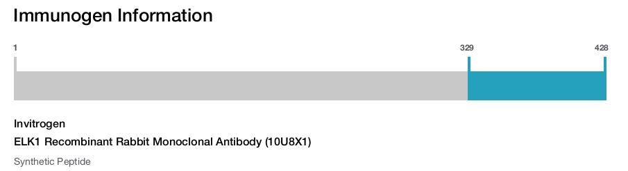 ELK1 Recombinant Rabbit Monoclonal Antibody (10U8X1)