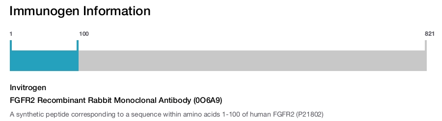 FGFR2 Recombinant Rabbit Monoclonal Antibody (0O6A9)
