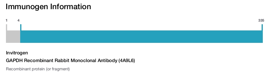 GAPDH Recombinant Rabbit Monoclonal Antibody (4A9L6)