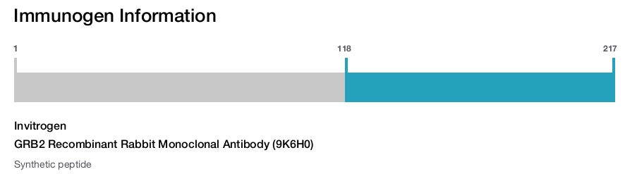 GRB2 Recombinant Rabbit Monoclonal Antibody (9K6H0)