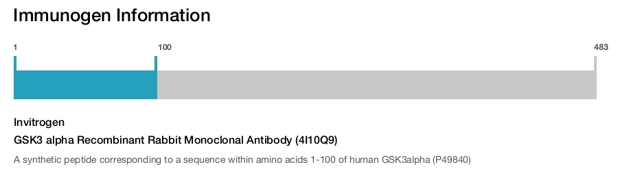 GSK3 alpha Recombinant Rabbit Monoclonal Antibody (4I10Q9)