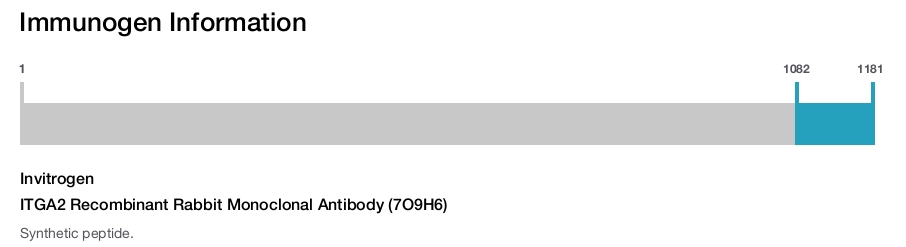 ITGA2 Recombinant Rabbit Monoclonal Antibody (7O9H6)