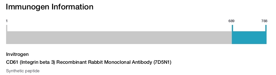 CD61 (Integrin beta 3) Recombinant Rabbit Monoclonal Antibody (7D5N1)