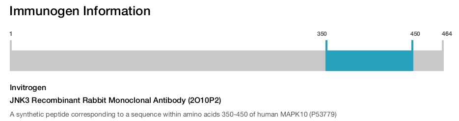 JNK3 Recombinant Rabbit Monoclonal Antibody (2O10P2)