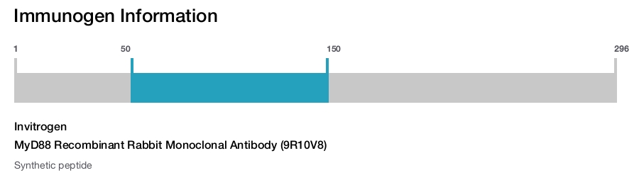 MyD88 Recombinant Rabbit Monoclonal Antibody (9R10V8)