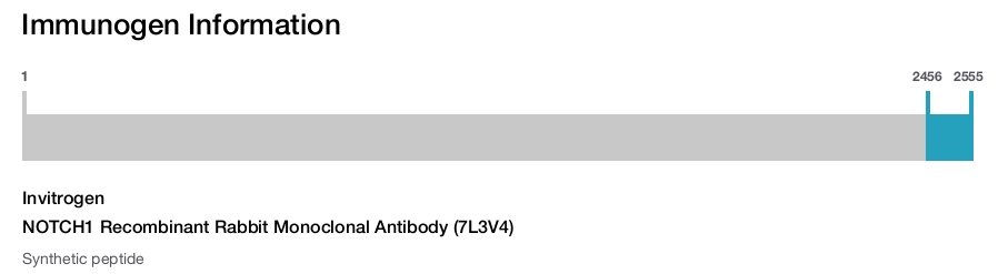 NOTCH1 Recombinant Rabbit Monoclonal Antibody (7L3V4)