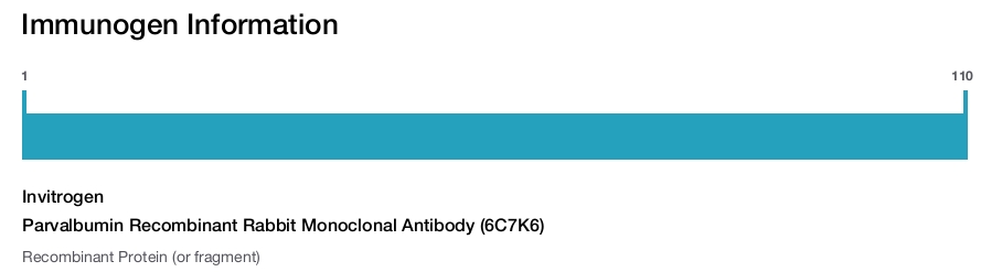 Parvalbumin Recombinant Rabbit Monoclonal Antibody (6C7K6)