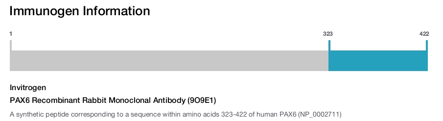 PAX6 Recombinant Rabbit Monoclonal Antibody (9O9E1)