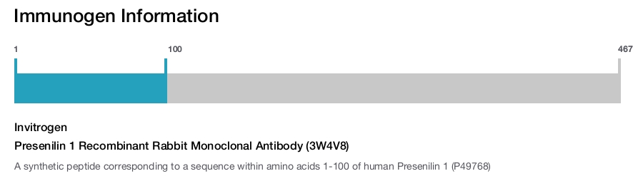 Presenilin 1 Recombinant Rabbit Monoclonal Antibody (3W4V8)