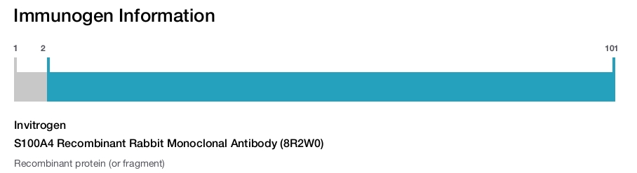 S100A4 Recombinant Rabbit Monoclonal Antibody (8R2W0)
