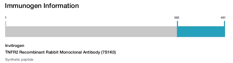 TNFR2 Recombinant Rabbit Monoclonal Antibody (7S1K0)