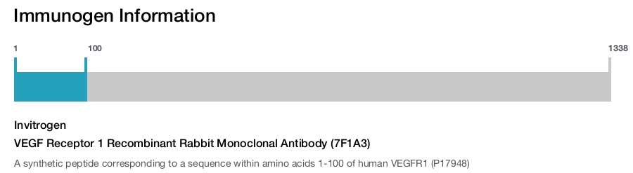 VEGF Receptor 1 Recombinant Rabbit Monoclonal Antibody (7F1A3)