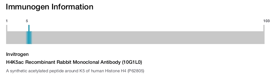 H4K5ac Recombinant Rabbit Monoclonal Antibody (10G1L0)
