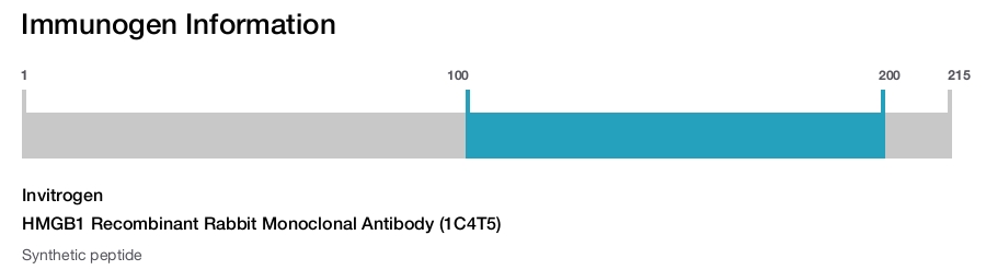 HMGB1 Recombinant Rabbit Monoclonal Antibody (1C4T5)