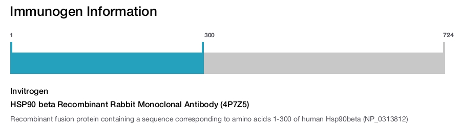 HSP90 beta Recombinant Rabbit Monoclonal Antibody (4P7Z5)