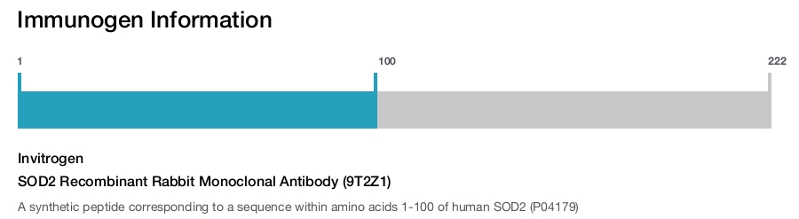 SOD2 Recombinant Rabbit Monoclonal Antibody (9T2Z1)
