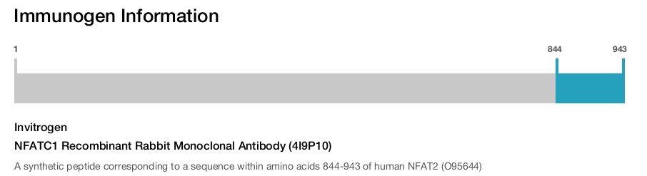 NFATC1 Recombinant Rabbit Monoclonal Antibody (4I9P10)
