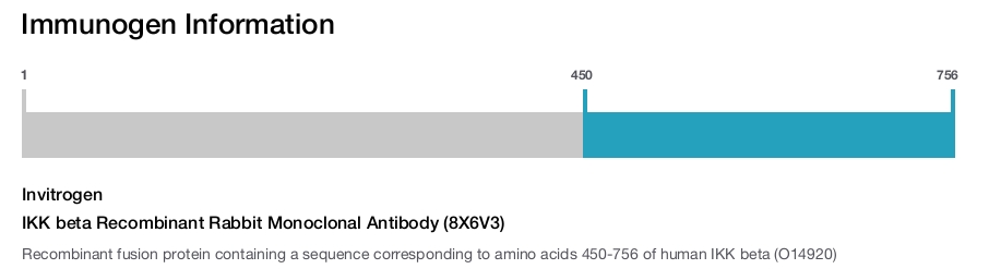 IKK beta Recombinant Rabbit Monoclonal Antibody (8X6V3)