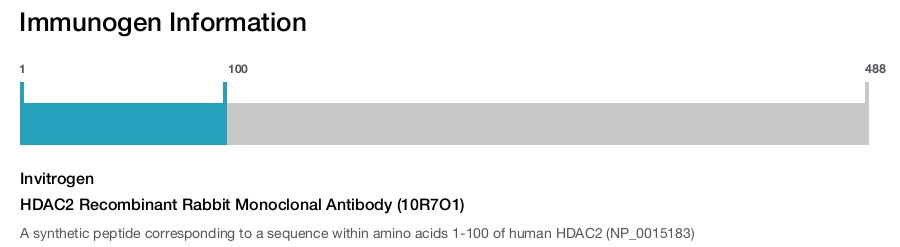 HDAC2 Recombinant Rabbit Monoclonal Antibody (10R7O1)